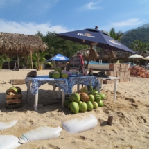 Coconuts, Sayulita, Beach