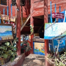 Sayulita, bookstore